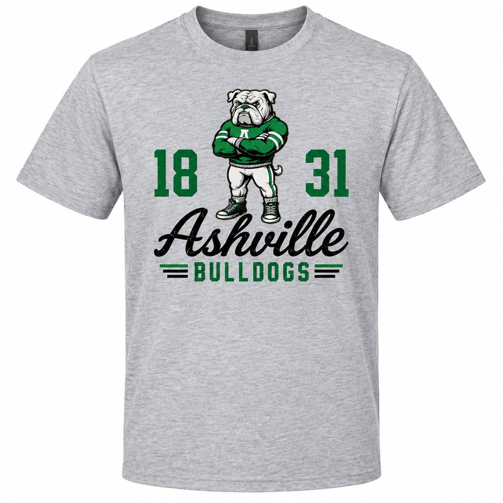 Vintage Bully Ashville Bulldogs design on an ash gray District tee